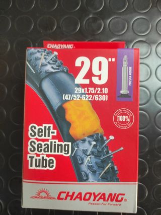 Cámara 29" ChaoYang Antipinchazos