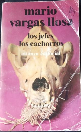 lote de 4 libros literatura castellana