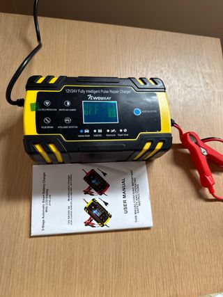 Cargador Pulso Inteligente 12V/24V