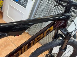 Bicicleta Coluer Stake 4.2