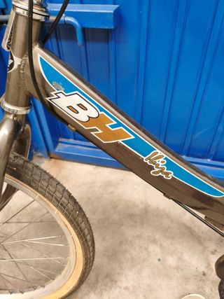 Bicicleta plegable BH