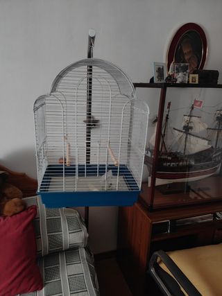 Jaula pájaros - Blanca y Azul
