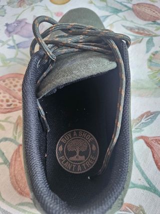 Zapatillas Etnies verde oliva 41