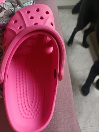 Zuecos crocs + REGALO 