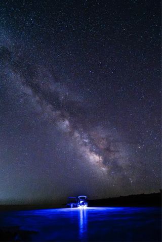 Barco Cattleya X6 Open