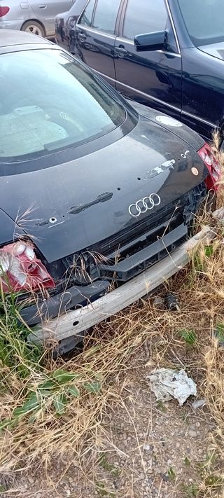 Audi TT 2006