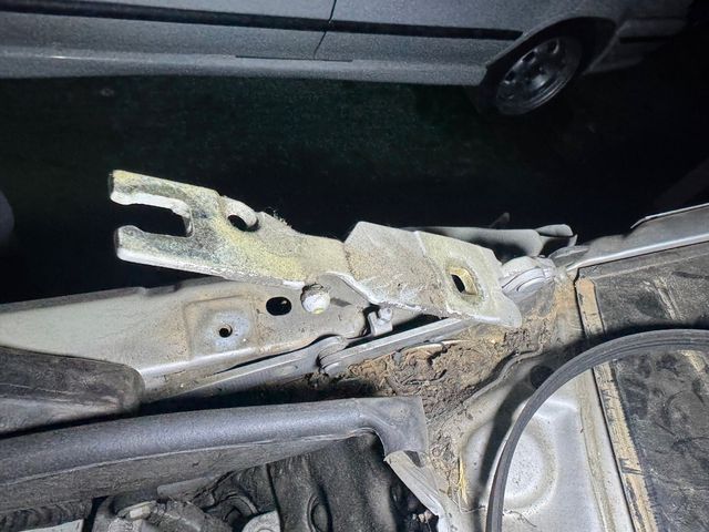 Bisagras capó BMW e46