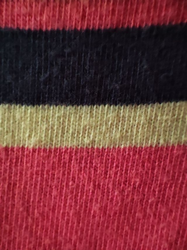 Polo Springfield rosa con rayas