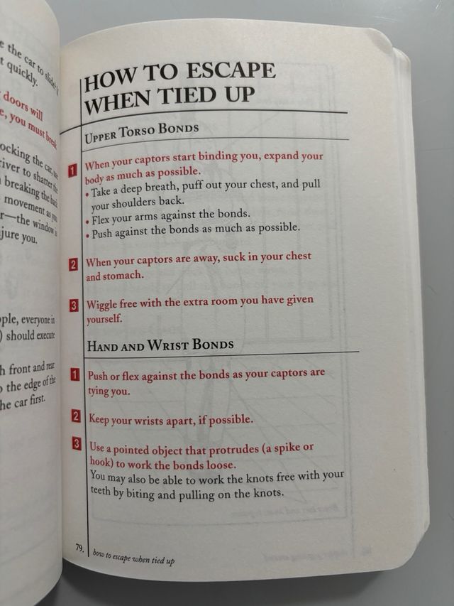 The Worst Case Scenario Survival Handbook: Travel