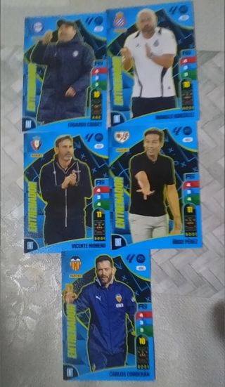 Cromos Adrenalyn XI 2025 
