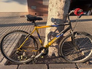 Bicicleta Orbea montaña