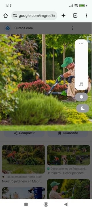Jardinero económico 677880717
