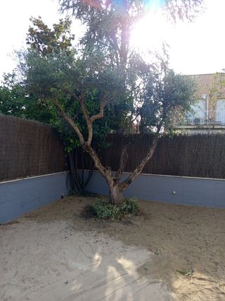 Jardinero económico 677880717

