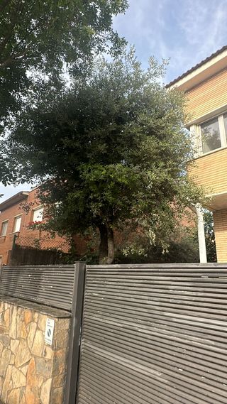 Jardinero económico 677880717
