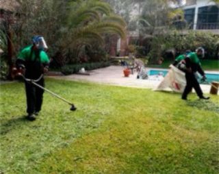 [DESBROZAR, PODA y TALA] JARDINERO PROFESIONAL 