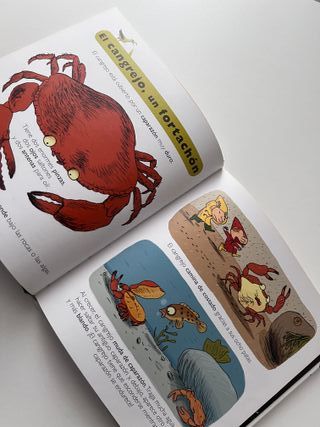 El Mar - tu pequeña enciclopedia VOX +6