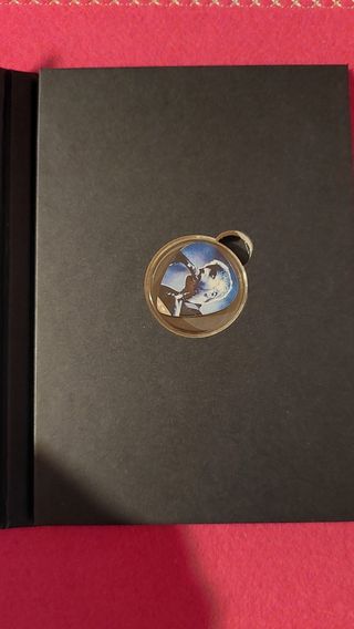 Medaglia Pino Daniele