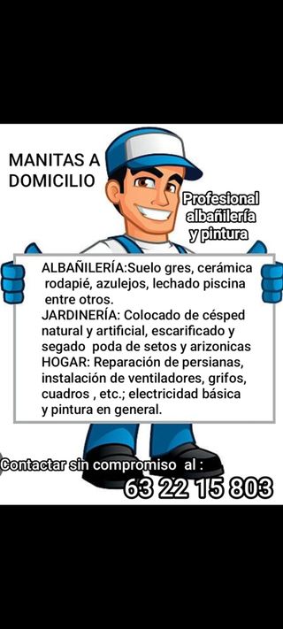 Manitas a domicilio 