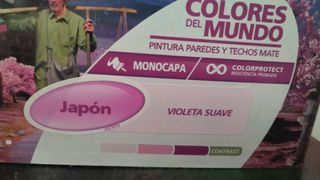 Pintura Bruguer Colores del Mundo 4L