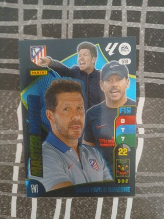 Cromos Adrenalyn Master Mister x2