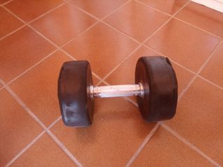Mancuernas fitness 1 unid, 22,5kg.