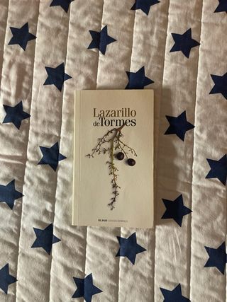 El Lazarillo de Tormes (Spanish Edition)