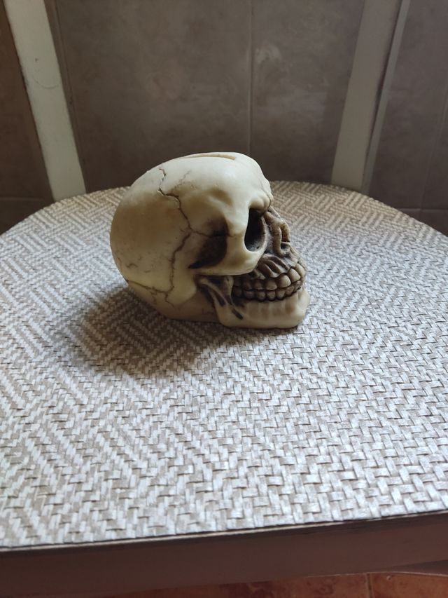 Hucha Calavera Decorativa