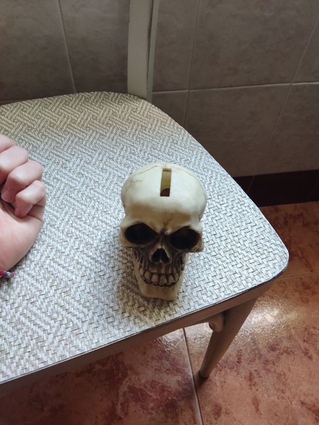 Hucha Calavera Decorativa