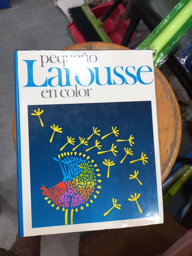 Pequeño Larousse En Color