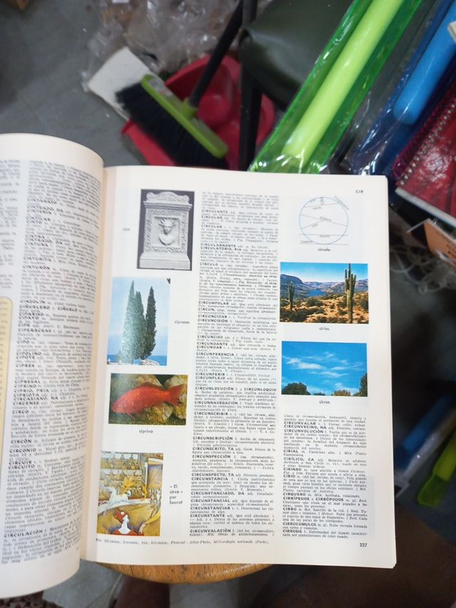 Pequeño Larousse En Color