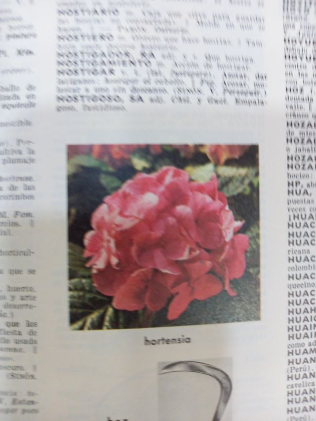 Pequeño Larousse En Color