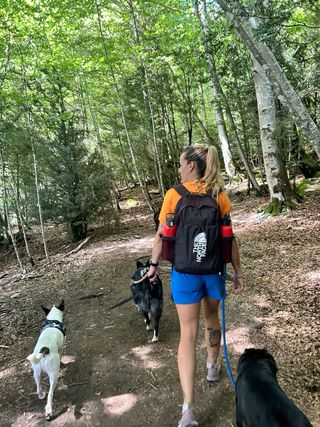 Paseo y alojamiento para mascotas