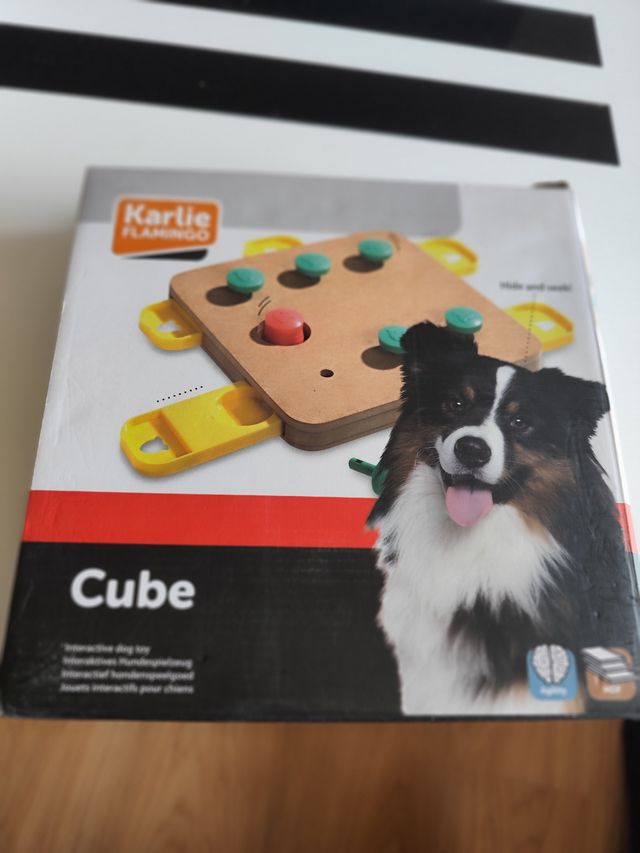 Juego mental perro Karlie Flamingo Cube