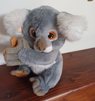 Koala Interattivo Lipto