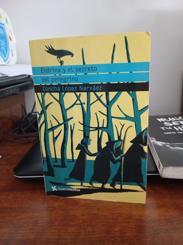 Endrina y el secreto del peregrino