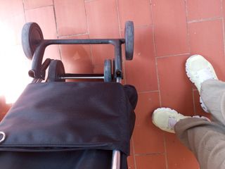 Carro de la compra Rolser plegable