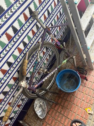 Bicicleta Fixie Gris