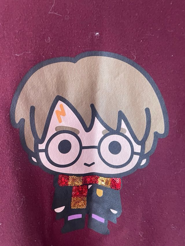 Moletom Harry Potter Vermelho