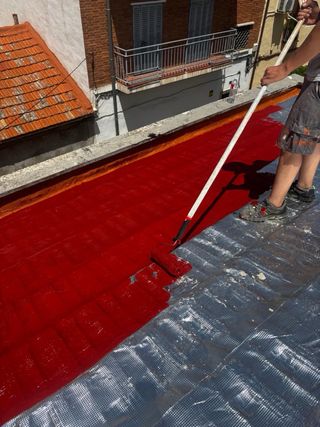 reparacion y limpieza tejados