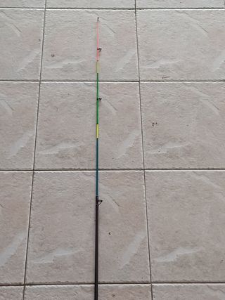 Canna da pesca Laserfish DA FONDO