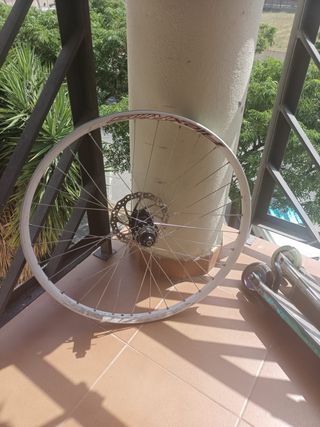 Rueda trasera Alexrims 26" 32h