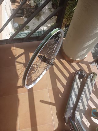 Rueda trasera Alexrims 26" 32h