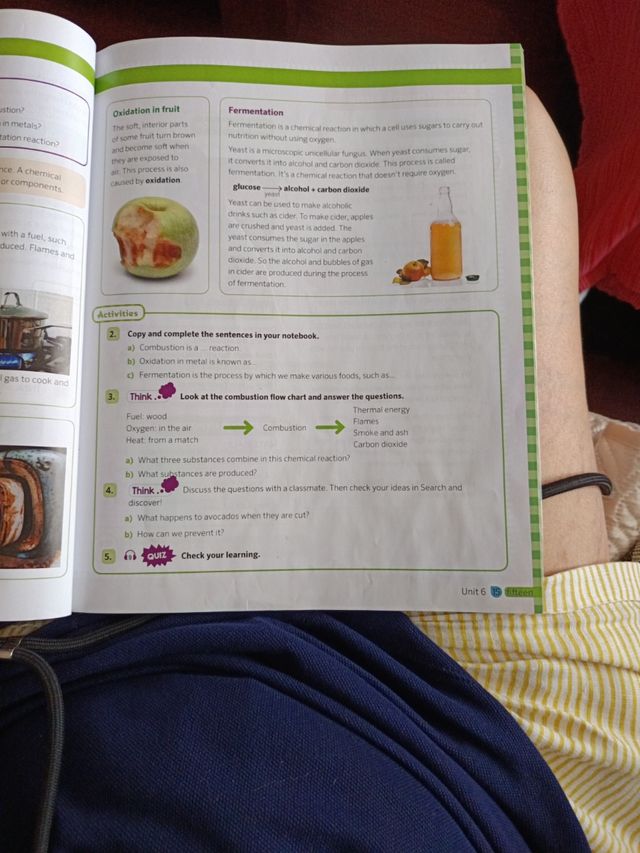 New Think Do Learn Natural Sciences 6. Class Bo...