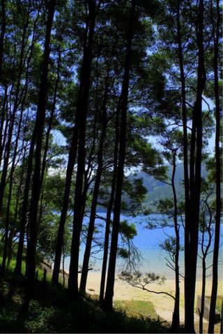 Canon EOS 1100D - Cámara Réflex