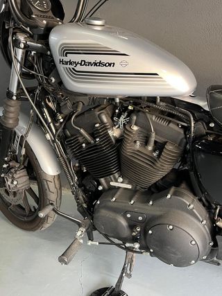 Harley Davidson Iron 1200