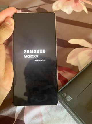 Samsung Galaxy S25 Ultra - Plata