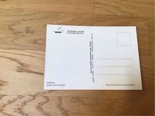 Cartolina Porcino - Boletus edulis