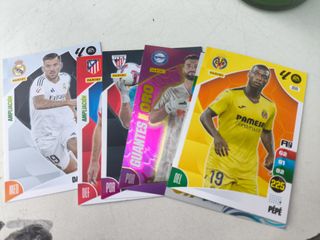 Cromos Adrenalyn XL 24-25