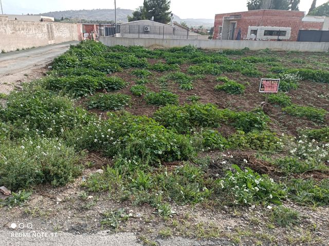 Huerta regadío Lorqui 800m²