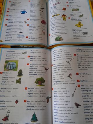 Geronimo Stilton - ENGLISH!